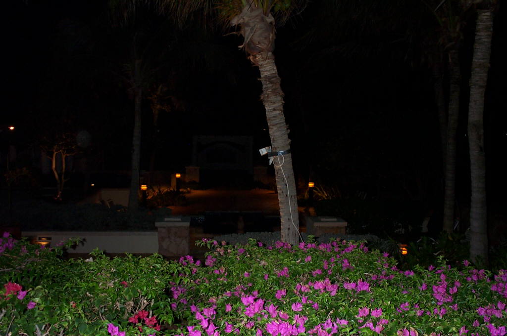 2003 Aruba